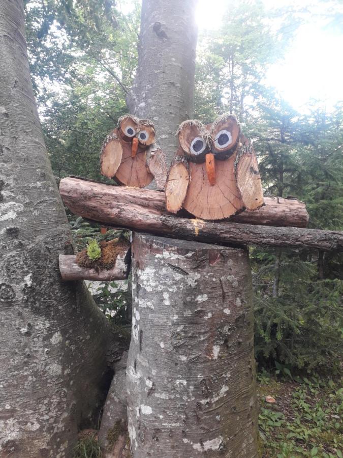 Kuca Za Odmor "Med Strmci" Zlobin Exterior foto
